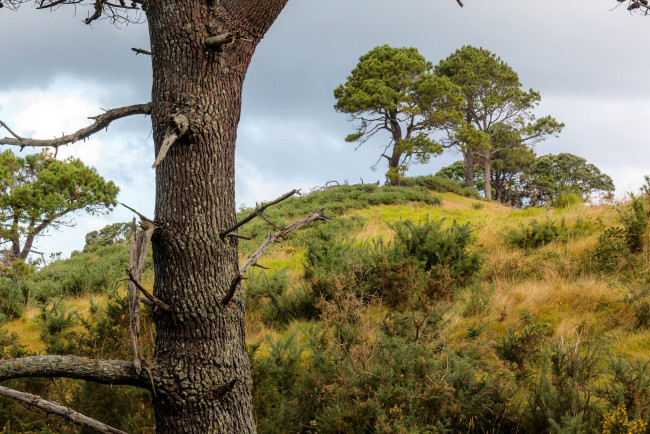 Обои картинки фото природа, пейзажи, простор