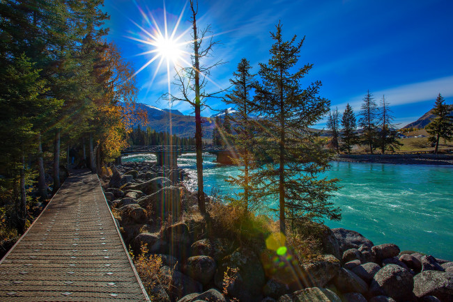 Обои картинки фото природа, реки, озера, лес, река