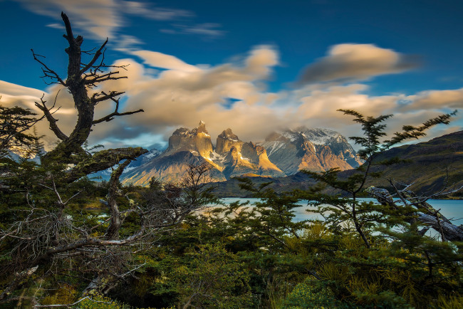 Обои картинки фото природа, реки, озера, река, лес