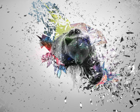 Картинка разное компьютерный+дизайн осколки красиво абстракция медведь