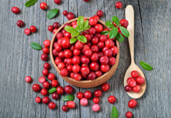 Картинка еда брусника ягоды