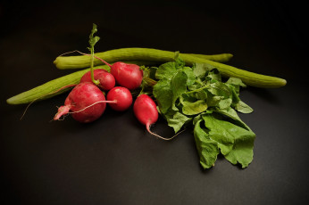 Картинка еда редис +репа +редька снедь