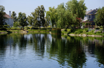 Картинка природа реки озера пруд