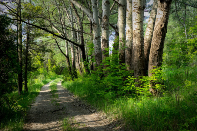 Обои картинки фото природа, дороги, простор