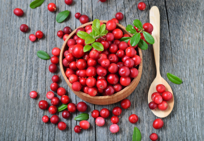 Обои картинки фото еда, брусника, ягоды