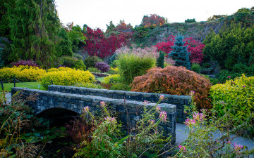 Картинка природа парк водоем мостик