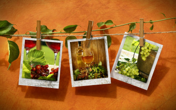 Картинка разное -+другое веревка прищепки фотографии росток виноград вино