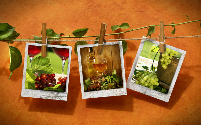 Обои картинки фото разное, - другое, веревка, прищепки, фотографии, росток, виноград, вино
