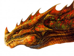 Картинка фэнтези драконы