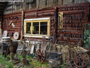 Картинка разное рельефы статуи музейные экспонаты