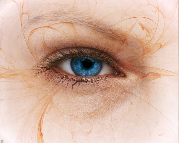 Обои картинки фото разное, глаза