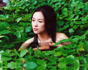 Картинка house of flying daggers кино фильмы