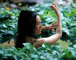 Картинка house of flying daggers кино фильмы