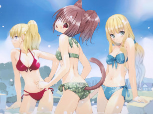 Картинка аниме animals