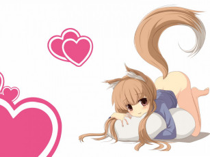 Картинка аниме spice and wolf