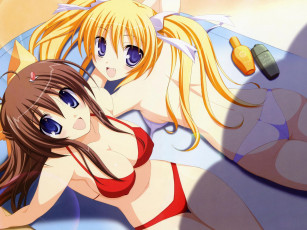 Картинка аниме *unknown другое