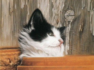 Картинка рисованные животные