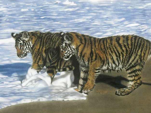 Обои картинки фото рисованные, животные