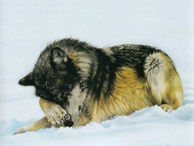 Обои картинки фото рисованные, животные