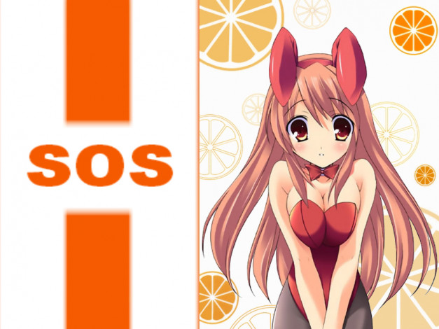 Обои картинки фото the, melancholy, of, haruhi, suzumiya, аниме