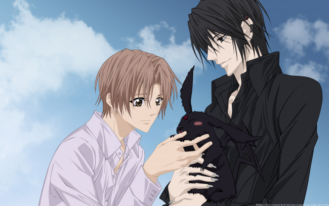 Обои картинки фото аниме, uragiri, wa, boku, no, namae, wo, shitteiru