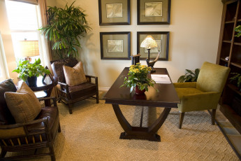 обоя интерьер, кабинет, библиотека, офис, вазон, кресла, шкаф, стол, подушки