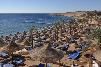 Картинка sharm el sheikh природа побережье пляж