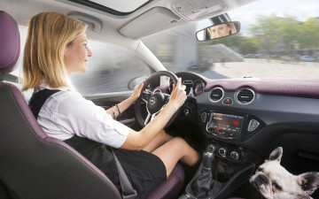 обоя автомобили, авто, девушками, девушка, собака