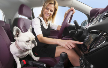 Картинка автомобили авто девушками собака девушка