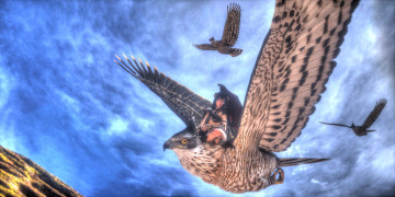 Картинка 3д+графика фантазия+ fantasy полет фон взгляд девушка птицы