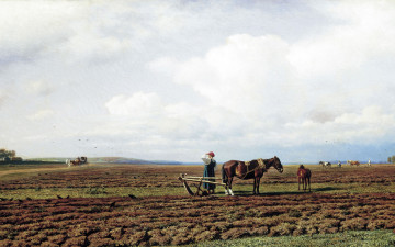 Картинка рисованное михаил+клодт поле