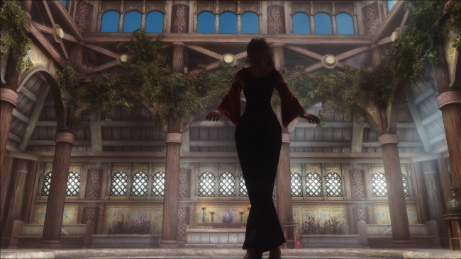 Обои картинки фото видео игры, the elder scrolls v,  skyrim, девушка, взгляд, фон