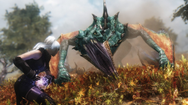 Обои картинки фото видео игры, the elder scrolls v,  skyrim, девушка, взгляд, фон, оружие, дракон