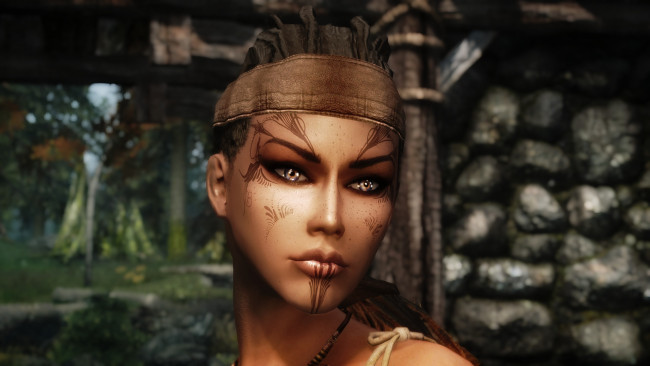 Обои картинки фото видео игры, the elder scrolls v,  skyrim, фон, взгляд, девушка