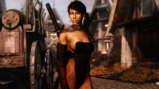 Обои картинки фото видео игры, the elder scrolls v,  skyrim, оружие, фон, взгляд, девушка