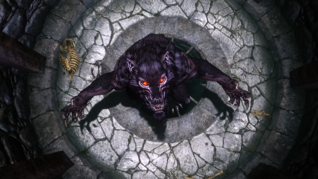 Обои картинки фото видео игры, the elder scrolls v,  skyrim, существо