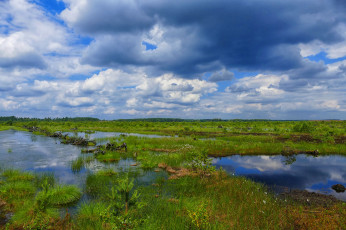 Картинка природа пейзажи простор