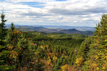 Картинка природа пейзажи простор