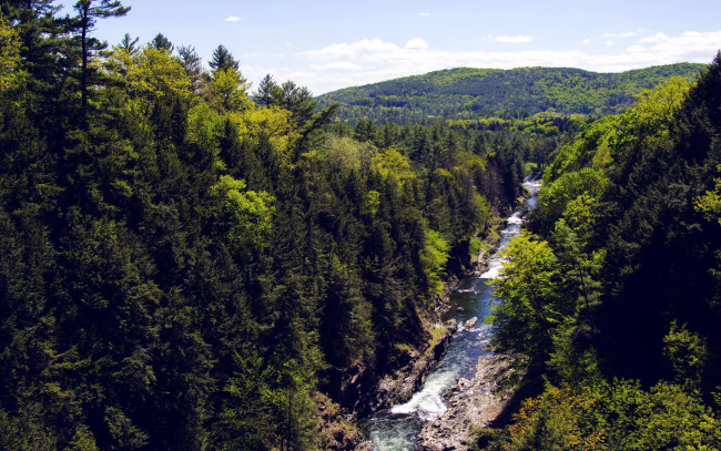 Обои картинки фото природа, реки, озера, деревья, узкая, горная, горы, река