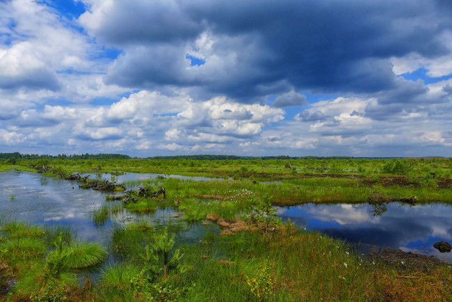 Обои картинки фото природа, пейзажи, простор