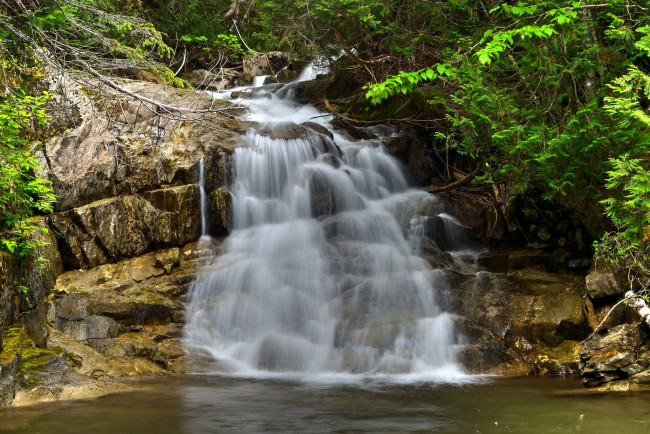 Обои картинки фото природа, водопады, река, водопад, лес