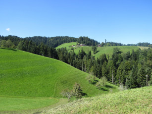 Картинка природа пейзажи деревья холмы