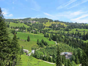 Картинка природа пейзажи деревья холмы