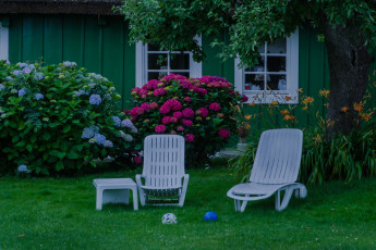 Картинка цветы разные+вместе сад