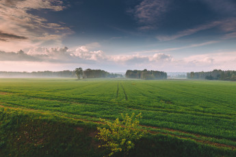 Картинка природа поля луг