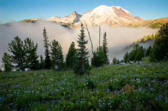 Картинка природа горы