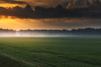 Картинка природа луга поле