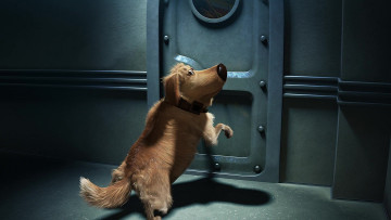 Картинка мультфильмы up собака дверь ошейник