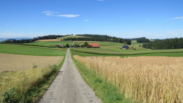 Картинка природа дороги деревья холмы