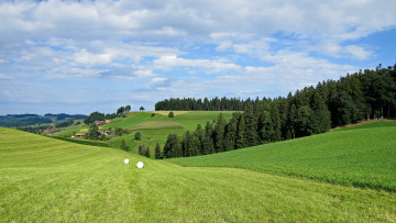 Картинка природа пейзажи деревья холмы